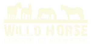 WILLO HORSE