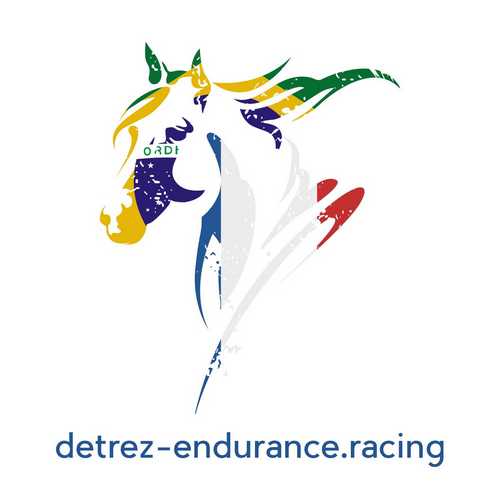 detrez-endurance.racing - Ecurie Anne DETREZ 