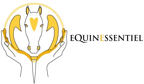 Equinessentiel : ostéopathie énergétique et stages 