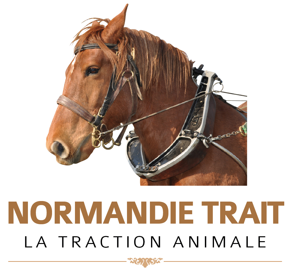 Normandie Trait Ludovic Eugene