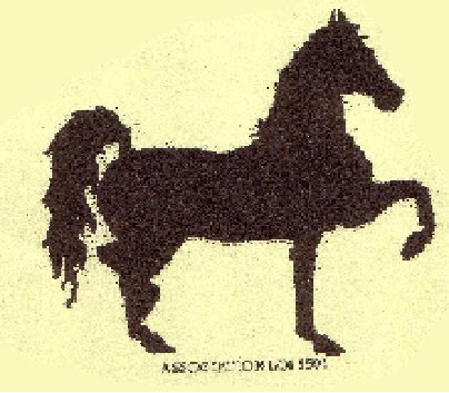 Association Equus Loisirs