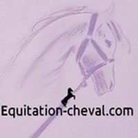 equitation-cheval