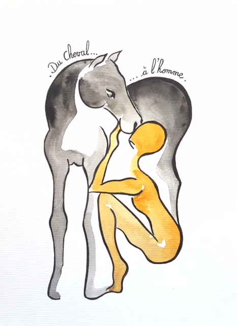 Du cheval à l\'homme