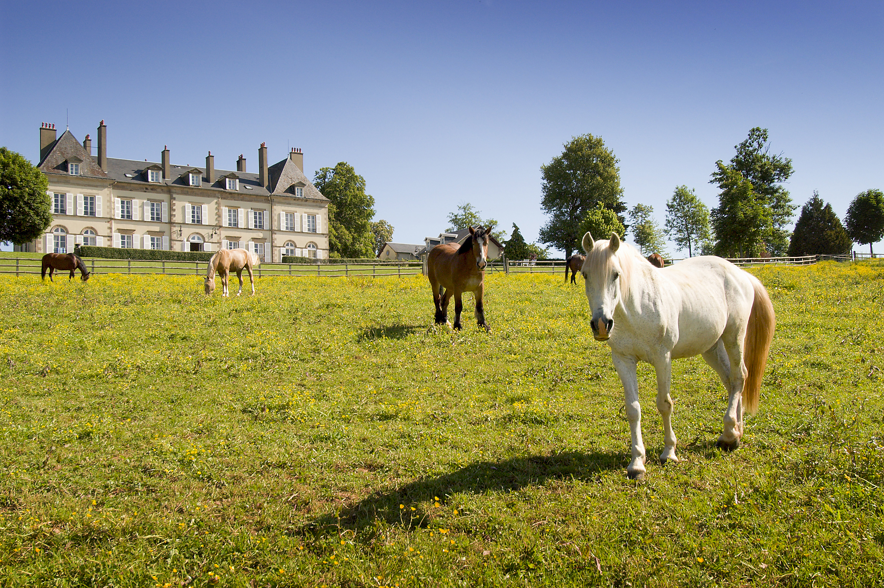 Ecuries du Château d\'Ygrande