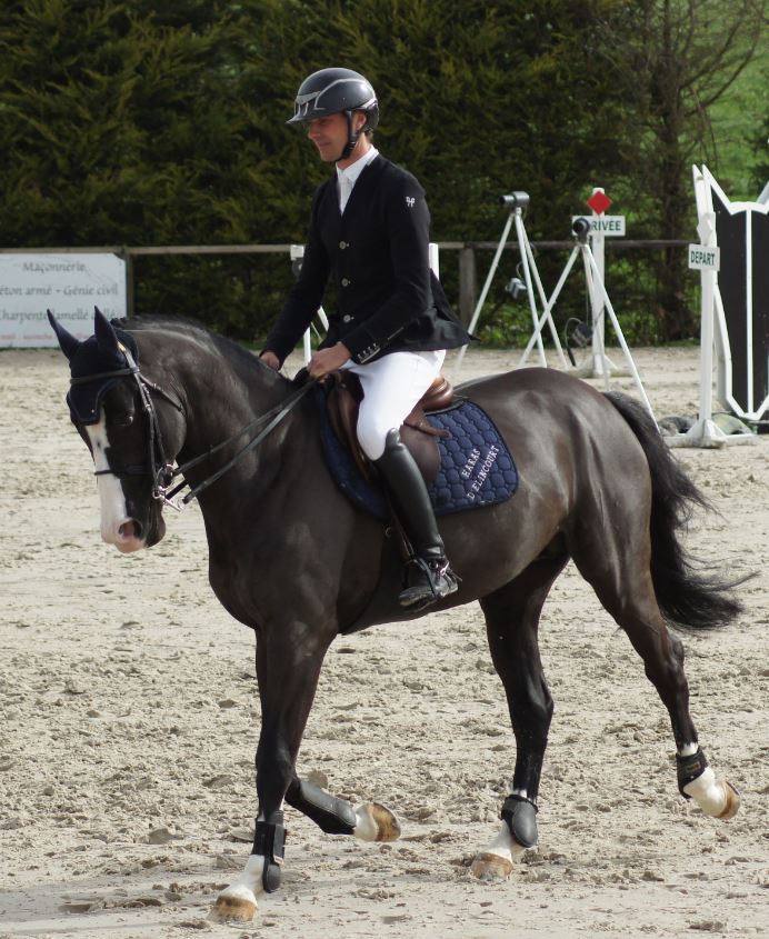 HARAS D\'ELINCOURT  ELEVAGE SELLE FRANÇAIS et AA pour le CSO.