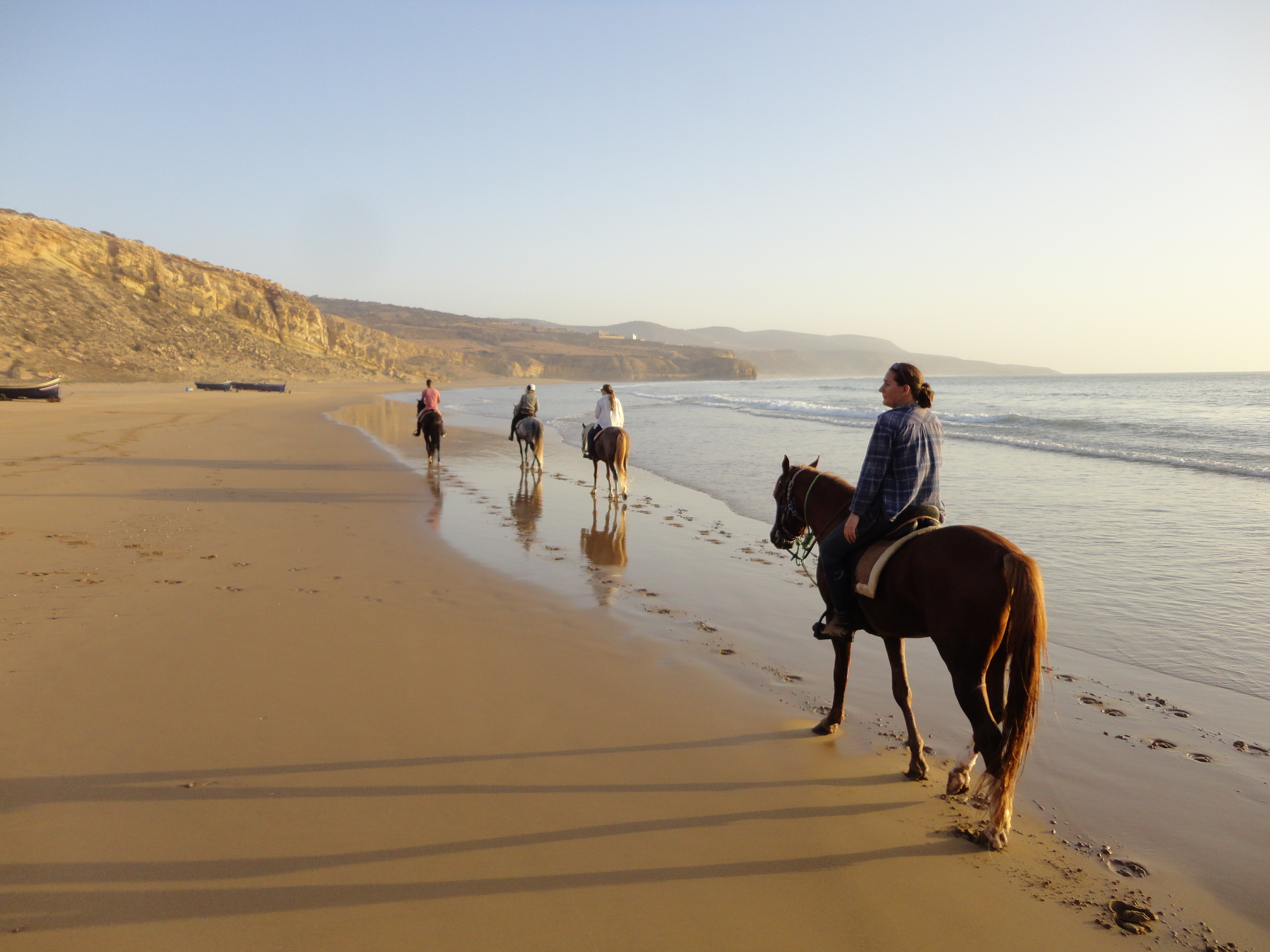 Zouina-cheval, Essaouira